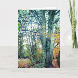Tarjeta Árboles de invierno