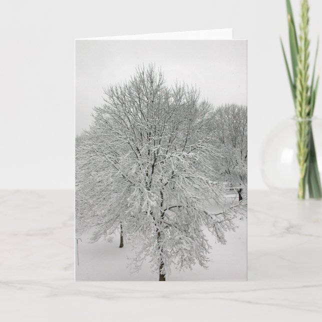 Tarjeta Árboles de la nieve (Anverso)