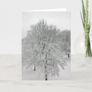 Tarjeta Árboles de la nieve