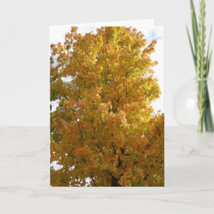 Tarjeta Árboles de otoño, viejo amigo