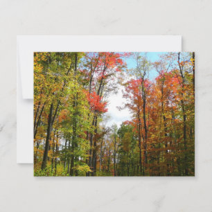 Tarjeta Árboles de otoño y cielo azul Fotografía de la nat