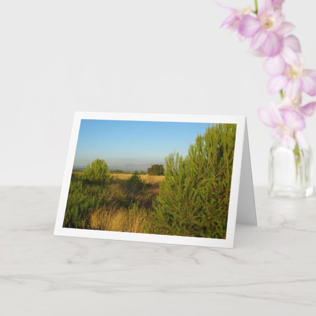 Tarjeta Árboles de pinos de campo (Orquídea)