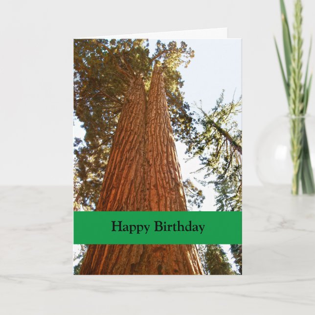 Tarjeta Árboles de secuoyas de parejas fieles, cumpleaños  (Anverso)