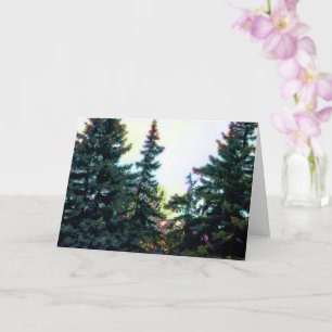 Tarjeta Árboles del bosque boreal Canadá Artístico Colorid