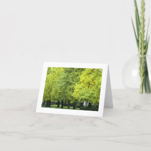 Tarjeta Árboles del Ginkgo en la avenida de la montaña, PA