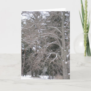 Tarjeta Árboles en la nieve III