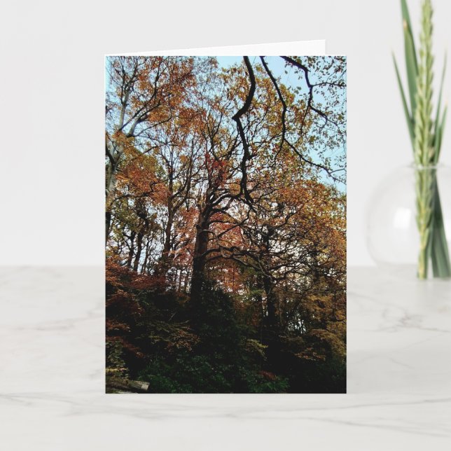 Tarjeta Árboles, en la orilla (Anverso)