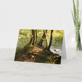 Tarjeta Árboles y raíces junto al río en impresión