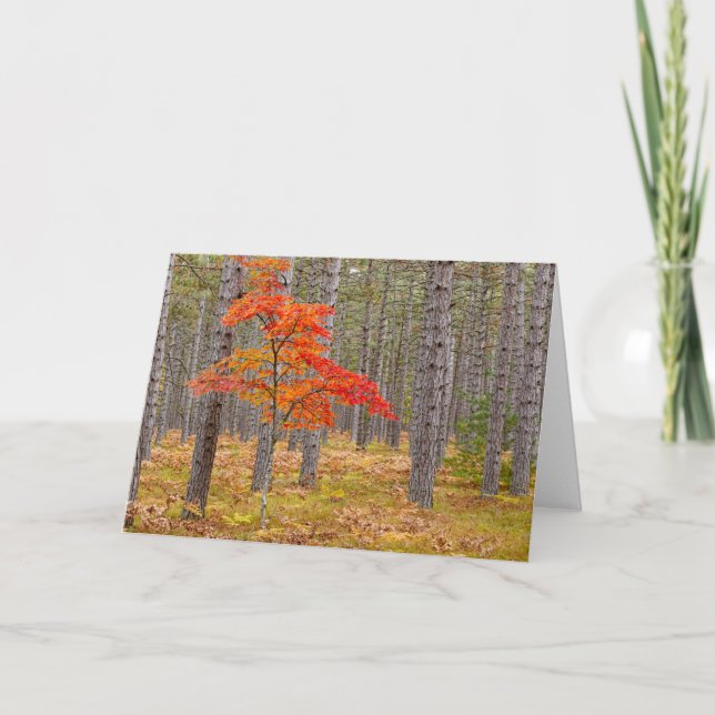 Tarjeta Arce con colores de otoño (Anverso)