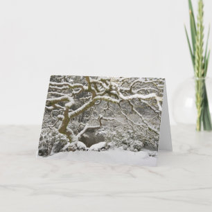 Tarjeta Arce japonés cubierto de nieve