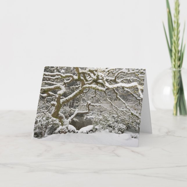 Tarjeta Arce japonés cubierto de nieve (Anverso)