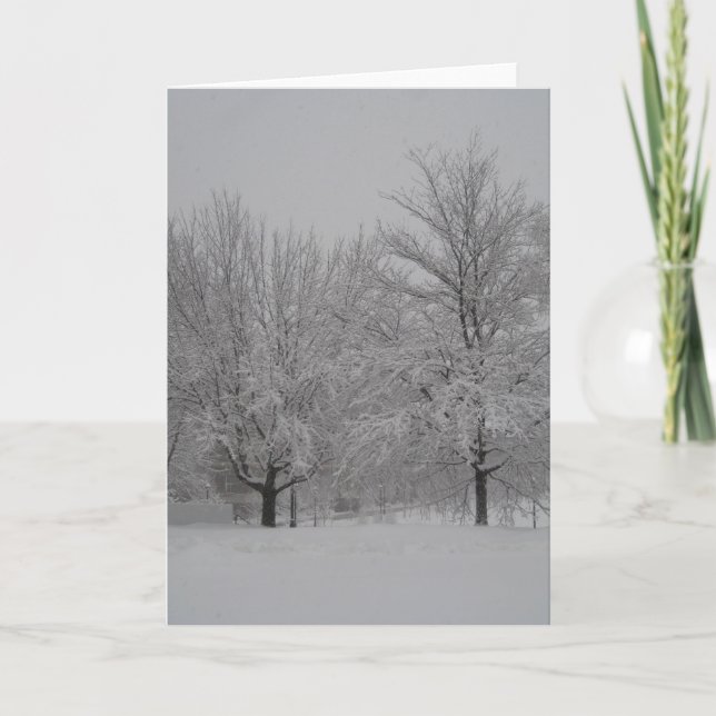 Tarjeta Arces rojos del invierno (Anverso)