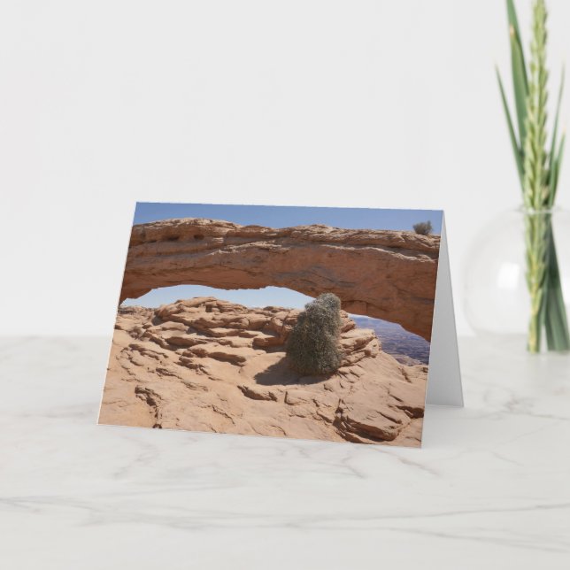Tarjeta Arco de Mesa y Tumbleweed en Canyonlands (Anverso)
