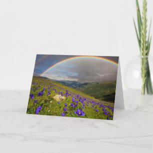 Tarjeta Arco iris sobre un prado floreciente