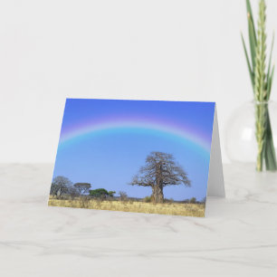 Tarjeta Arcoiris y baobab africano, Adansonia