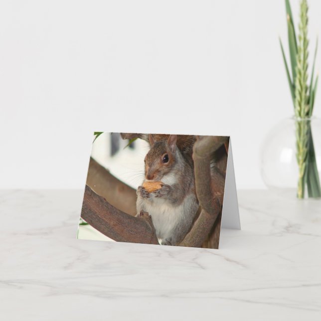 Tarjeta ardilla (Anverso)