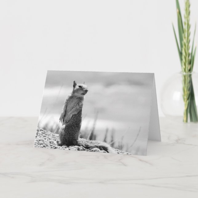 Tarjeta Ardilla (Anverso)