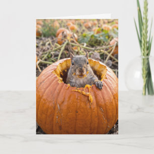 Tarjeta Ardilla de cumpleaños en una calabaza de otoño