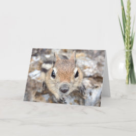 Tarjeta Ardilla del suelo manchada de oro Notecard