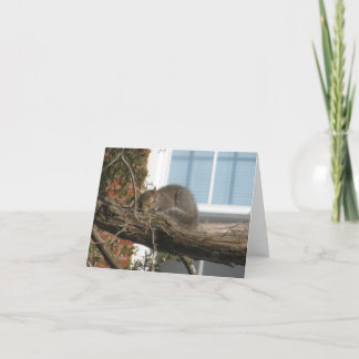 Tarjeta Ardilla el dormir