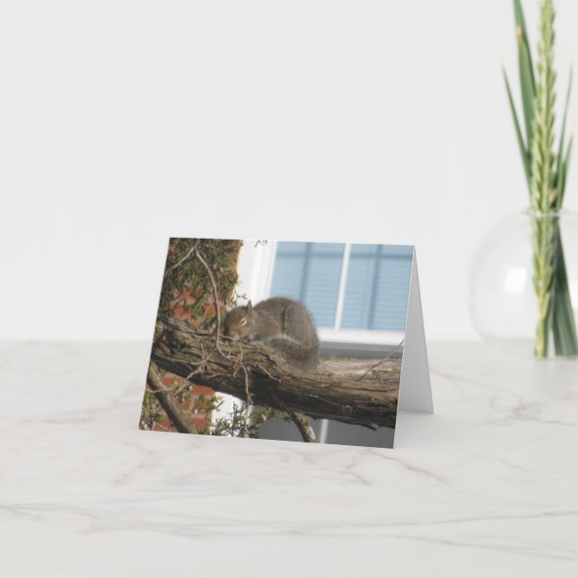 Tarjeta Ardilla el dormir (Anverso)