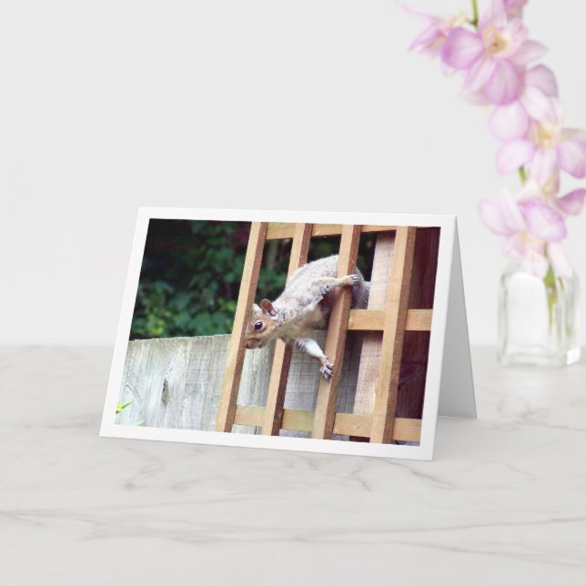 Tarjeta Ardilla en cerca (Orquídea)