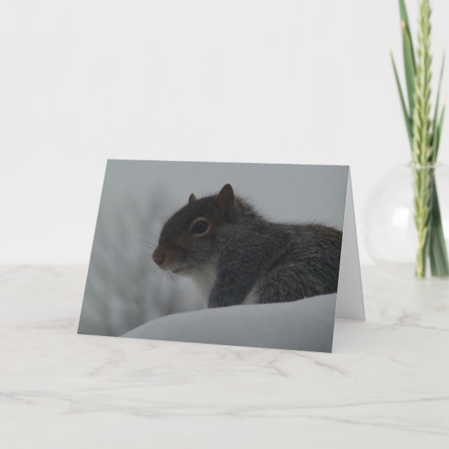 Tarjeta Ardilla en invierno (Anverso)