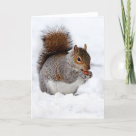 Tarjeta Ardilla en la nieve