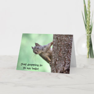 Tarjeta Ardilla en un árbol