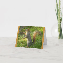Tarjeta Ardilla encontrada con imagen del diente de león