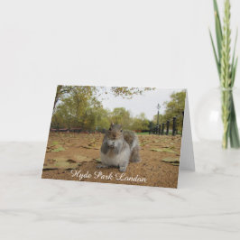 Tarjeta Ardilla gris Hyde Park Londres.