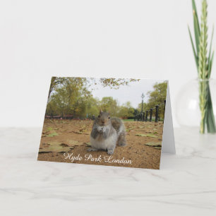Tarjeta Ardilla gris Hyde Park Londres.