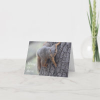 Ardilla que se aferra