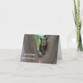 Tarjeta Ardilla solitaria en el árbol, te extraño
