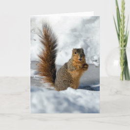 Tarjeta Ardilla sorprendida