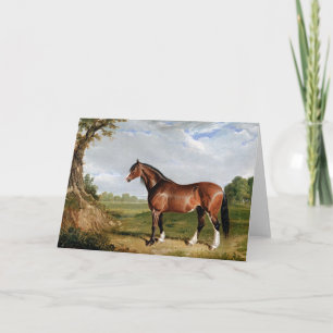 Tarjeta Arenque - Un Stallion Clydesdale, arte fino,