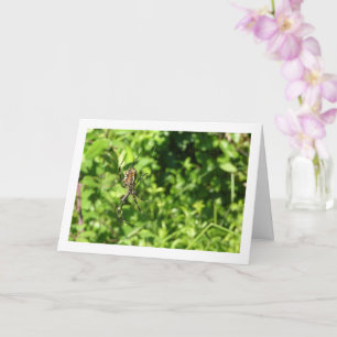 Tarjeta Argiope bruennichi, Avispa, Araña de jardín