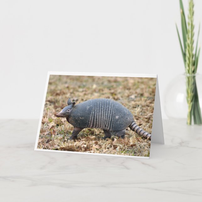 Tarjeta Armadillo (Anverso)