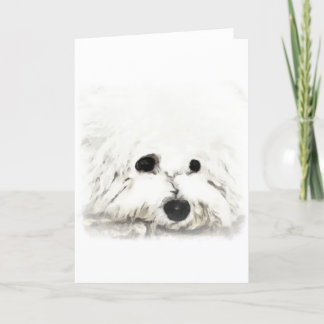 Tarjeta Aroma artística de cabeza de Bichon