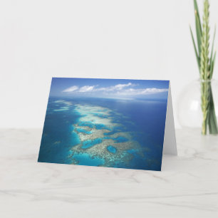 Tarjeta arrecife de lengua, gran parque marino de la barre