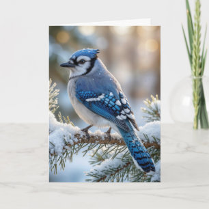 Tarjeta Arrendajo azul de Navidad en un pino nevado