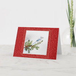 Tarjeta Arrendajo azul en una rama de pino Navidad