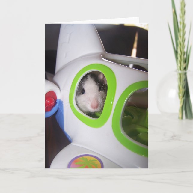 Tarjeta Arriba, arriba y lejos (Anverso)