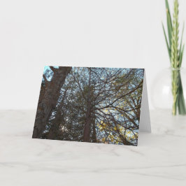 Tarjeta Arriba por las ramas