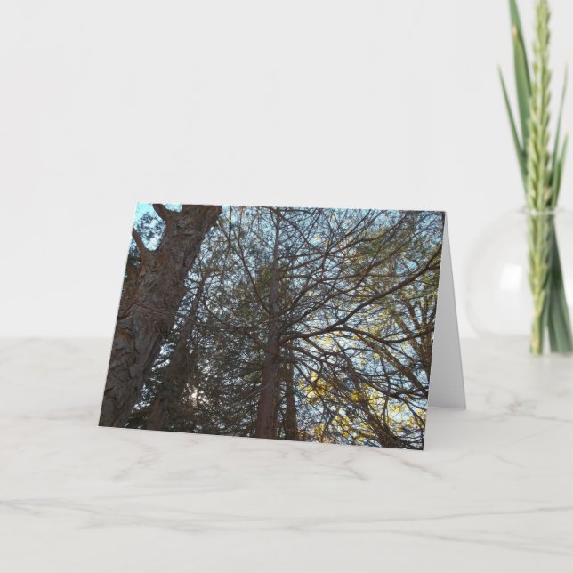 Tarjeta Arriba por las ramas (Anverso)