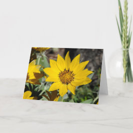 Tarjeta Arrowleaf Balsamroot Notecard