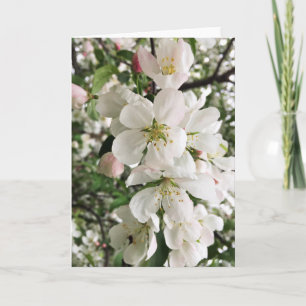 Tarjeta Arroz florido