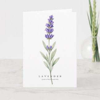 Tarjeta Arte Botánico de Lavanda Símbolo de Devoción y Cal