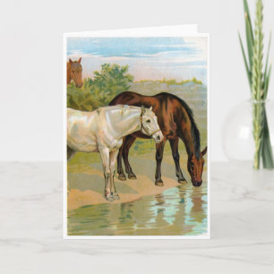 Tarjeta Arte de época - Caballos en el estanque,