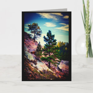Tarjeta arte de la naturaleza pinares de montaña foto en b